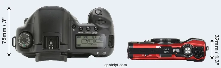 Compare 10D versus TG-5 top