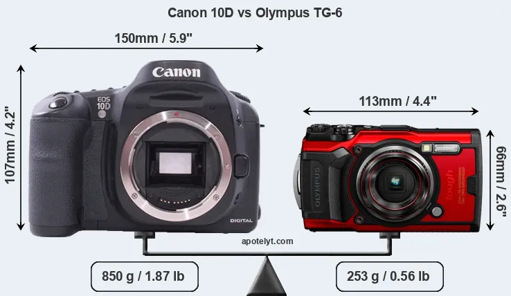 Size Canon 10D vs Olympus TG-6