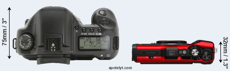 Compare 10D versus TG-6 top