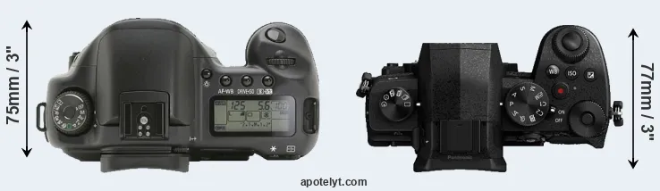 Compare 10D versus G95 top