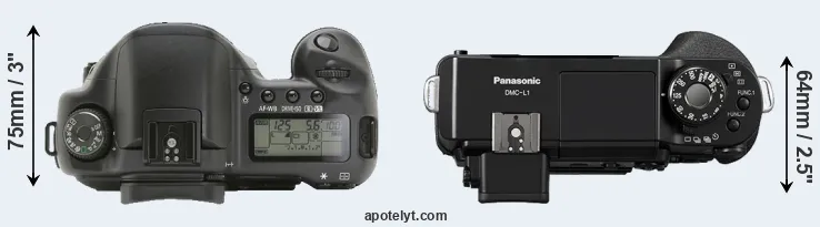 Compare 10D versus L1 top