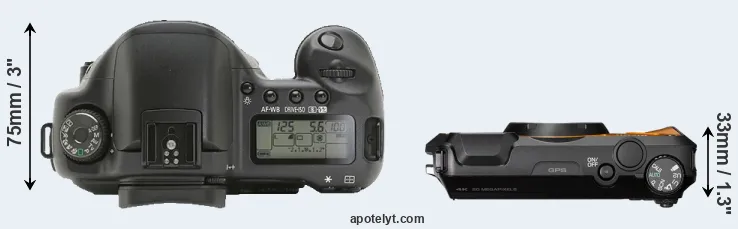Compare 10D versus WG-6 top