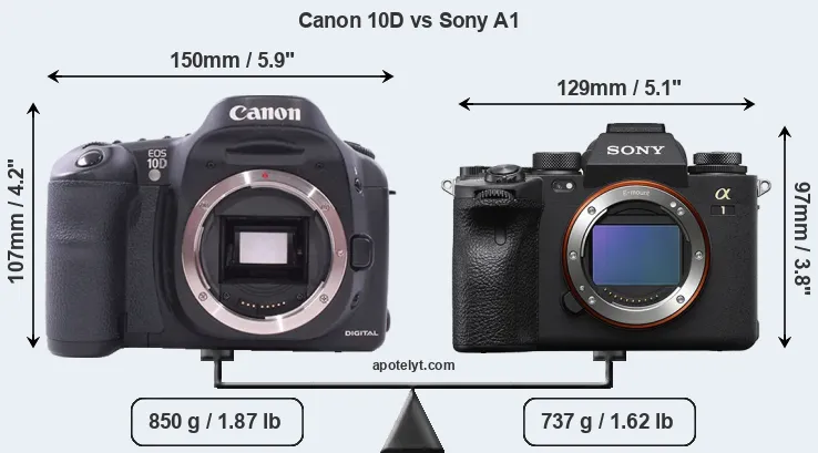 Size Canon 10D vs Sony A1