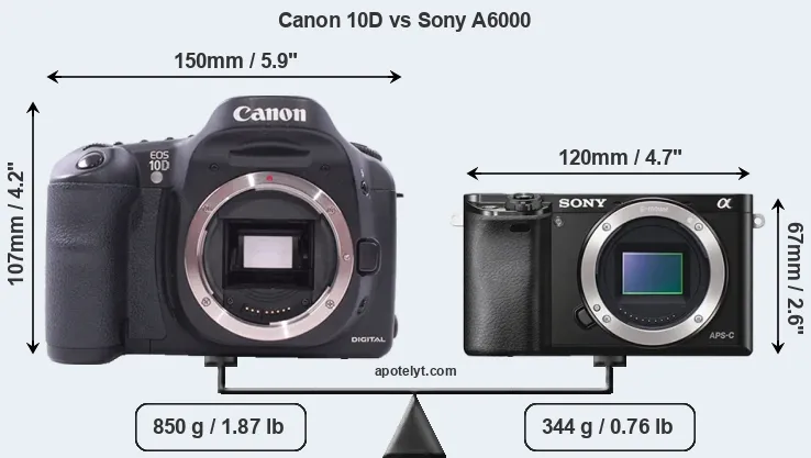 Size Canon 10D vs Sony A6000