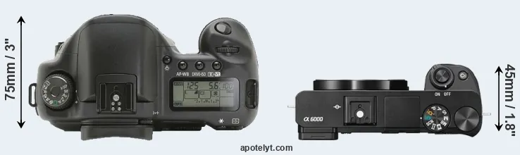 Compare 10D versus A6000 top
