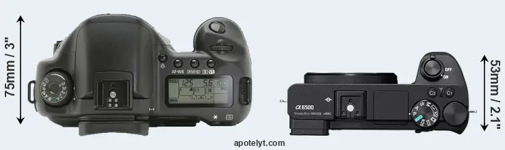 Compare 10D versus A6500 top