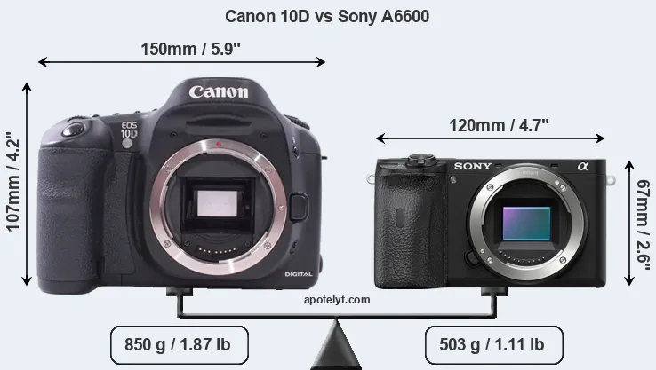Size Canon 10D vs Sony A6600