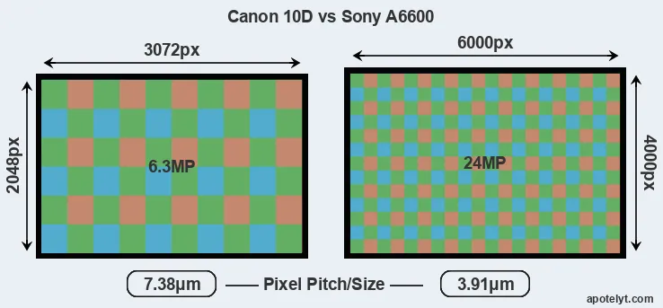 10D versus A6600 MP