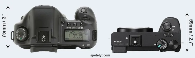 Compare 10D versus A6600 top