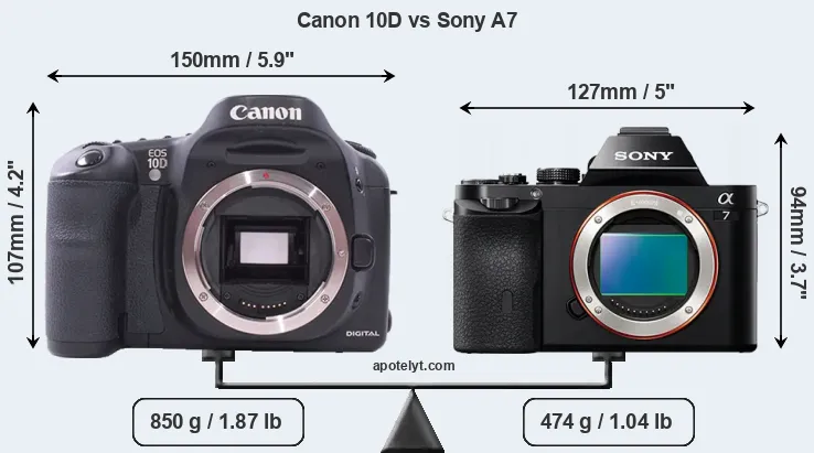 Size Canon 10D vs Sony A7