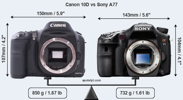 Size Canon 10D vs Sony A77