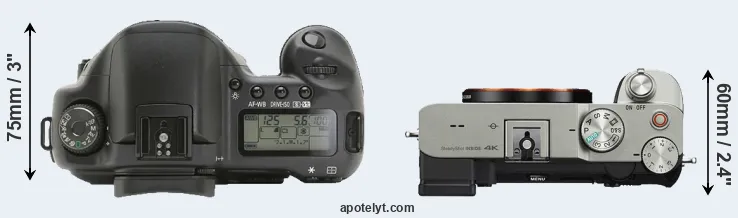 Compare 10D versus A7C top