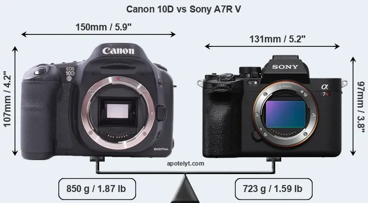 Size Canon 10D vs Sony A7R V