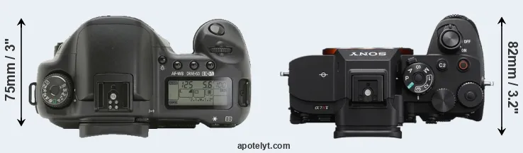 Compare 10D versus A7R V top