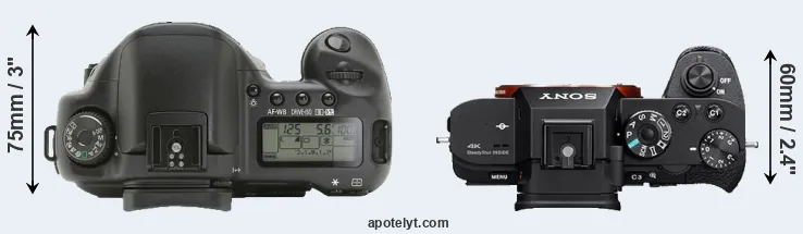Compare 10D versus A7S II top