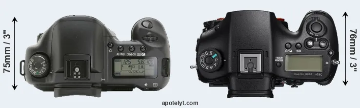 Compare 10D versus A99 II top