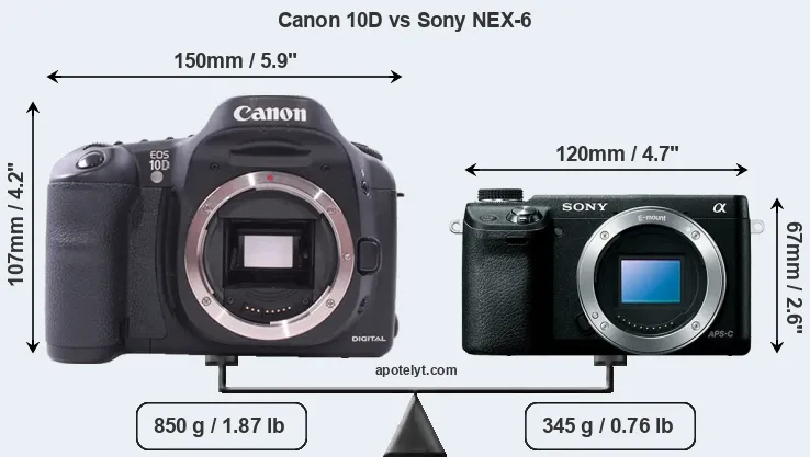 Size Canon 10D vs Sony NEX-6