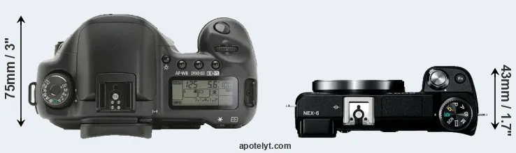 Compare 10D versus NEX-6 top