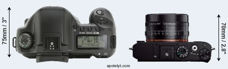 Compare 10D versus RX1R top