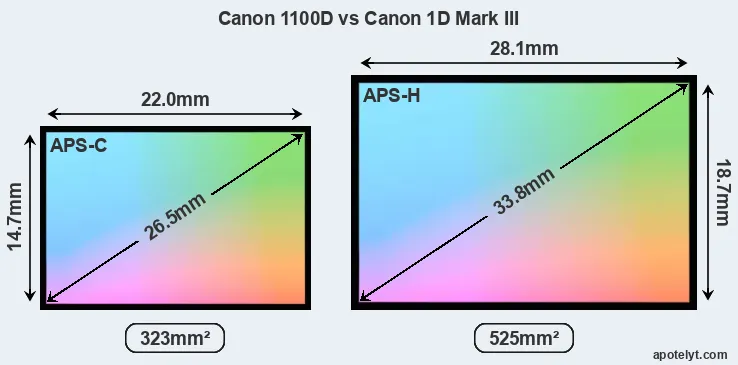 Canon 1100D and Canon 1D Mark III sensor measures