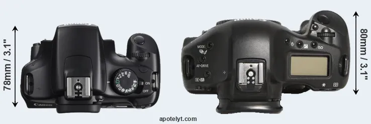 Compare 1100D versus 1D Mark III top