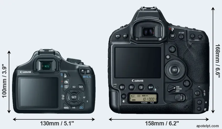 Comparison 1100D or 1DX Mark II rear