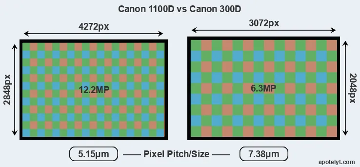 1100D versus 300D MP