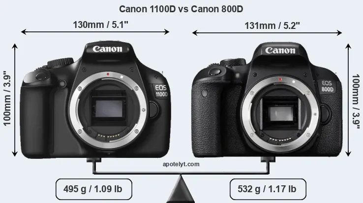 Size Canon 1100D vs Canon 800D
