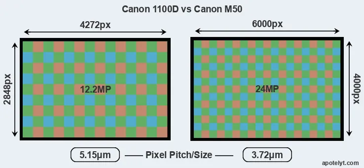 1100D versus M50 MP