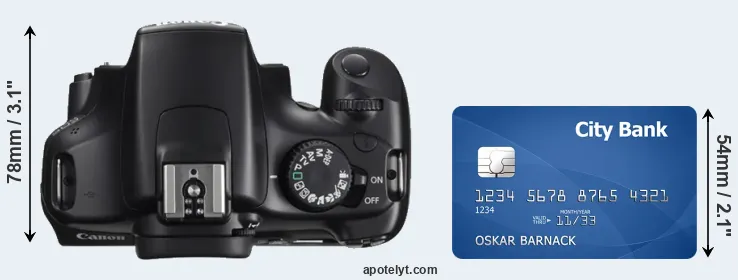 1100D versus credit card top view