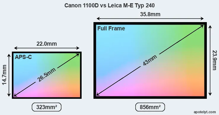 Canon 1100D and Leica M-E Typ 240 sensor measures