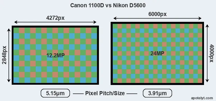 1100D versus D5600 MP