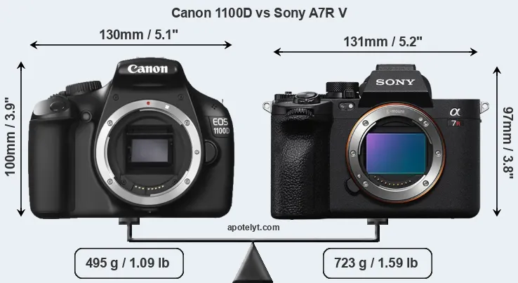 Size Canon 1100D vs Sony A7R V