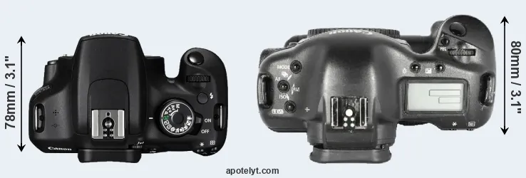 Compare 1200D versus 1D Mark II top
