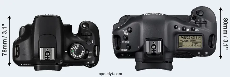 Compare 1200D versus 1D Mark IV top