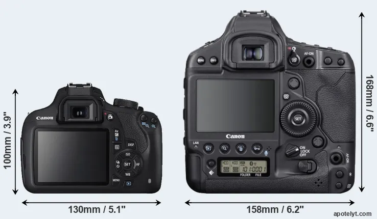 Comparison 1200D or 1DX Mark III rear