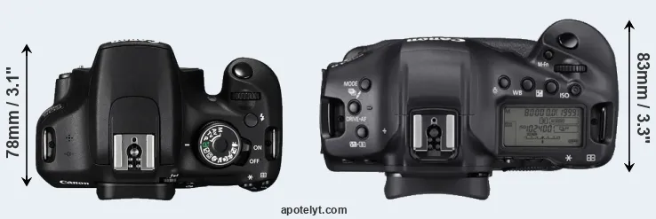Compare 1200D versus 1DX Mark III top