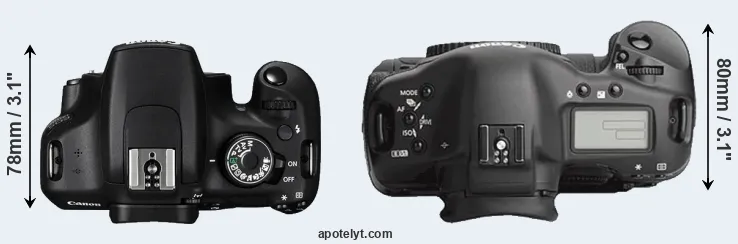 Compare 1200D versus 1Ds Mark III top