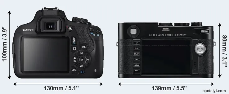 Comparison 1200D or M Typ 240 rear