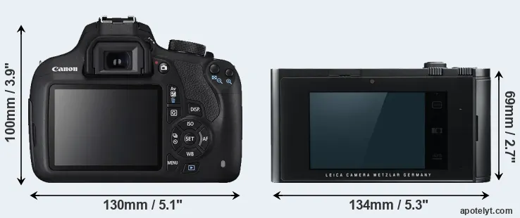 Comparison 1200D or T Typ 701 rear