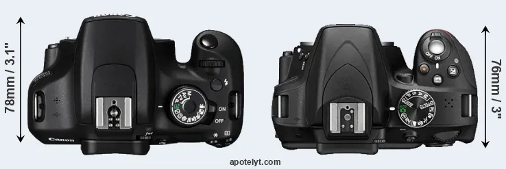 Compare 1200D versus D3300 top