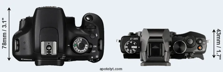 Compare 1200D versus E-M5 top
