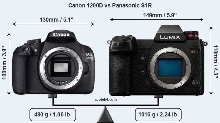 Size Canon 1200D vs Panasonic S1R