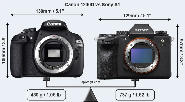 Size Canon 1200D vs Sony A1