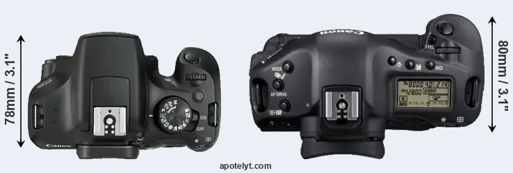 Compare 1300D versus 1D Mark IV top