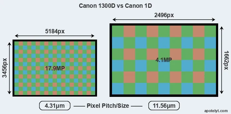 1300D versus 1D MP