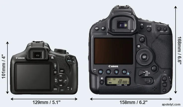 Comparison 1300D or 1DX rear