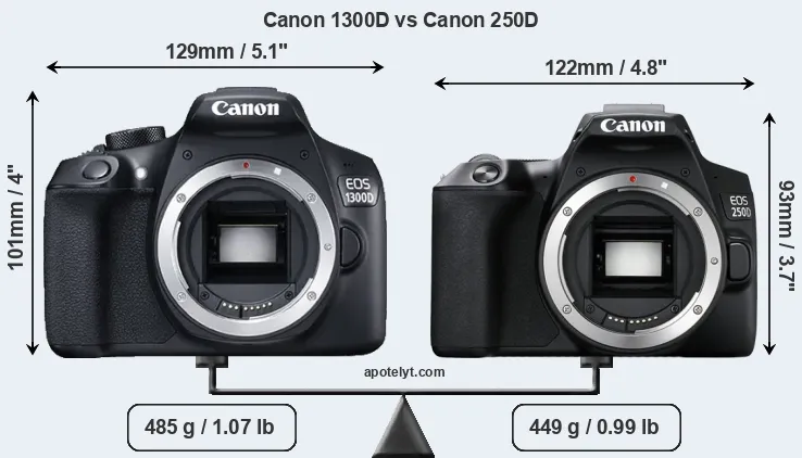Size Canon 1300D vs Canon 250D