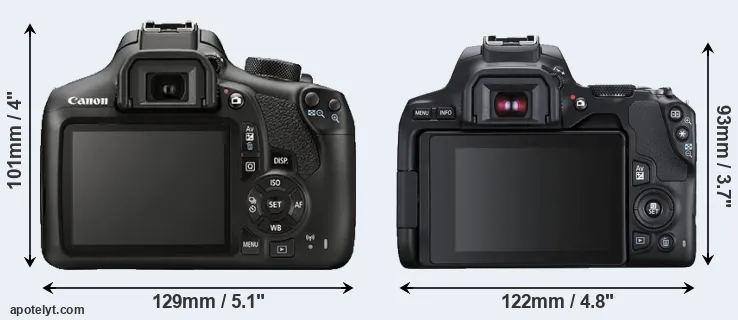Comparison 1300D or 250D rear