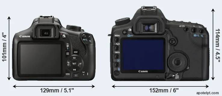 Comparison 1300D or 5D Mark II rear